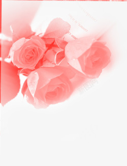 粉色玫瑰少女婚庆素材