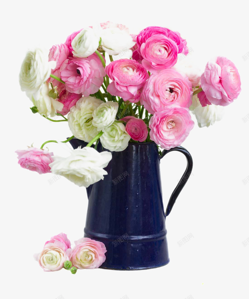 漂亮的粉色花朵png免抠素材_88icon https://88icon.com 植物 漂亮的粉色花朵 玫瑰花 粉色花朵 花朵 花草图片 鲜花花卉