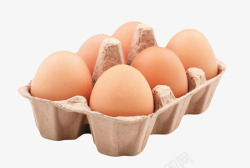 褐色鸡蛋6个一打的初生蛋实物素材