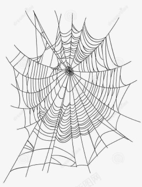 卡通蜘蛛网蜘蛛网图标图标