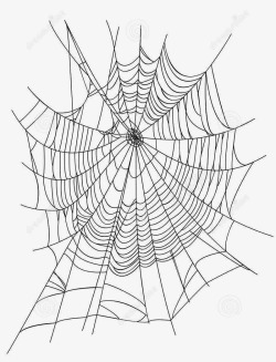 卡通蜘蛛网素材卡通蜘蛛网蜘蛛网图标高清图片