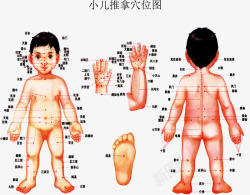 足底主要穴位图小儿推拿穴位图高清图片