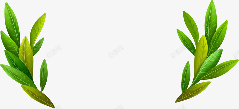 手绘橄榄叶子海报png免抠素材_88icon https://88icon.com 叶子 橄榄 海报