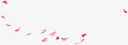 中国风粉红色飘落的花瓣花朵高清图片