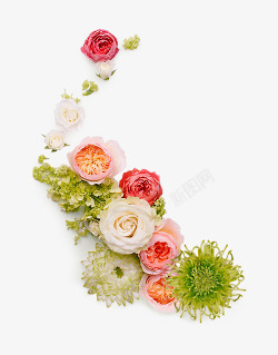 漂亮的花素材