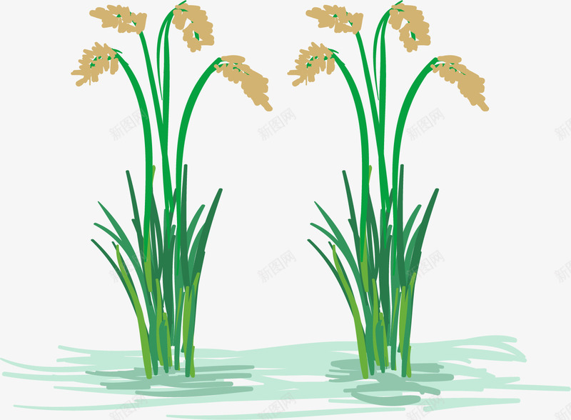 手绘涂鸦水稻png免抠素材_88icon https://88icon.com 卡通 大米 小米穗 手绘涂鸦 水稻 燕麦 稻谷 米穗 粮食 麦子 麦穗