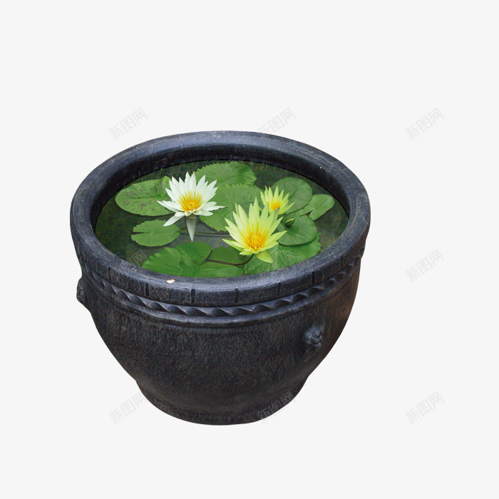 水缸里面的莲花植物png免抠素材_88icon https://88icon.com 免抠图 效果图 植物 水缸 绿叶 花朵 装饰图 装饰画