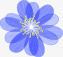 轻盈的花瓣png免抠素材_88icon https://88icon.com 一朵花 变幻 好看的花 蓝色花瓣