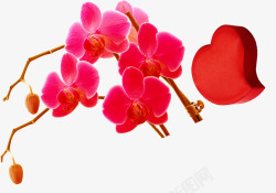 红色蝴蝶兰心形礼物盒素材