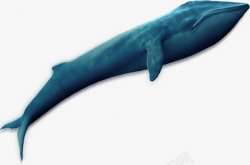 梦幻蓝色海洋背景图片海洋生物鲸鱼蓝色片高清图片