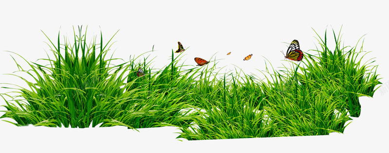 草丛与蝴蝶png免抠素材_88icon https://88icon.com png图片 免费png 成群的蝴蝶 昆虫 绿色 自然 青草