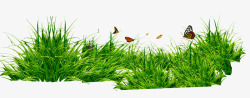 青草png元素草丛与蝴蝶高清图片