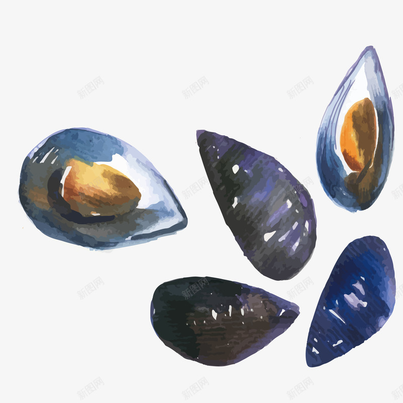 可食用海鲜扇贝手绘png免抠素材_88icon https://88icon.com 可食用 扇贝 海鲜 珍贵 美味好吃 营养价值高