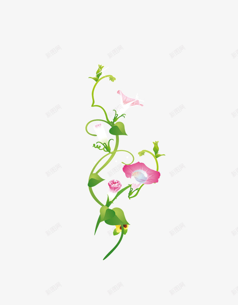 花草png免抠素材_88icon https://88icon.com 丛林 园林 花素材 花草