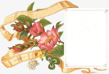 精美礼盒手绘花花图标精美边框方框图标