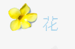 唯美鸡蛋花素材