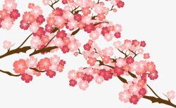 粉色樱花矢量图素材