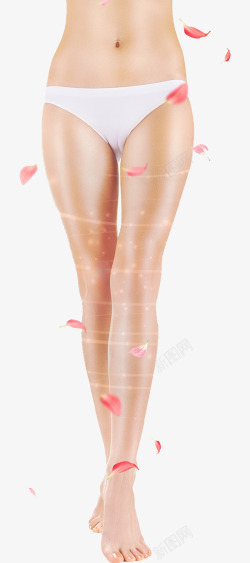 女性花瓣背景手绘美腿高清图片