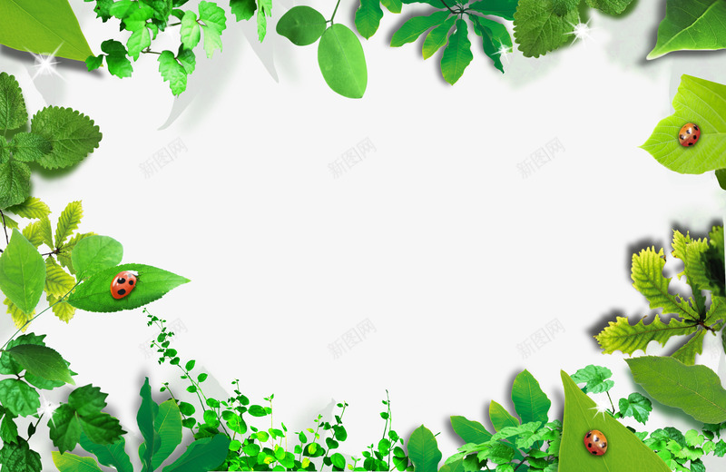 绿色边框png免抠素材_88icon https://88icon.com 文字背景图形 树叶 绿色植物 绿色环保 绿色边框 装饰花边