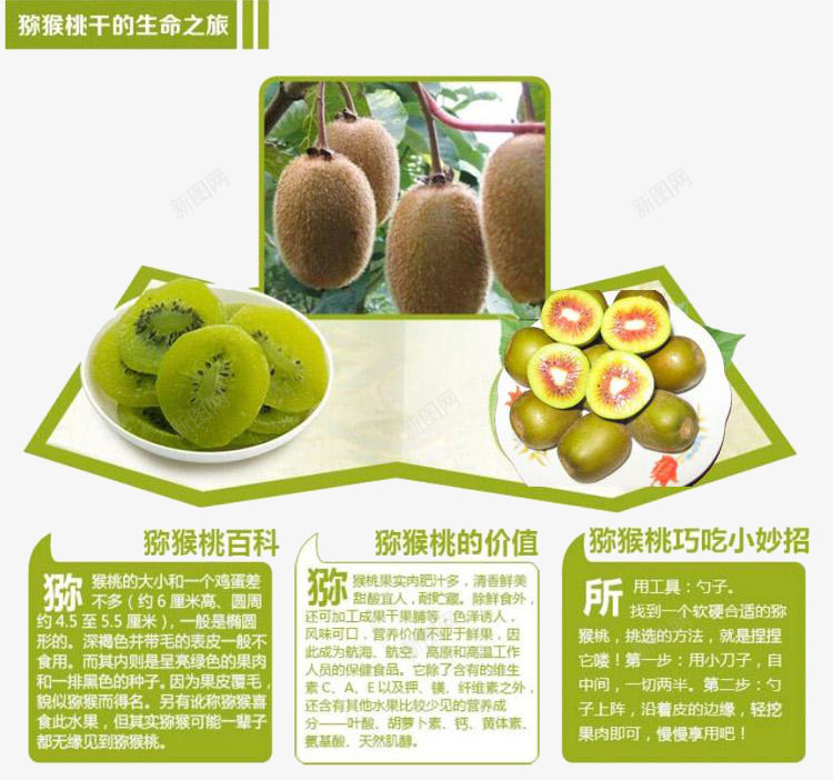 猕猴桃干的生命之旅psd免抠素材_88icon https://88icon.com 休闲食品 制作 工艺 猕猴桃干 生命之旅 美味 过程