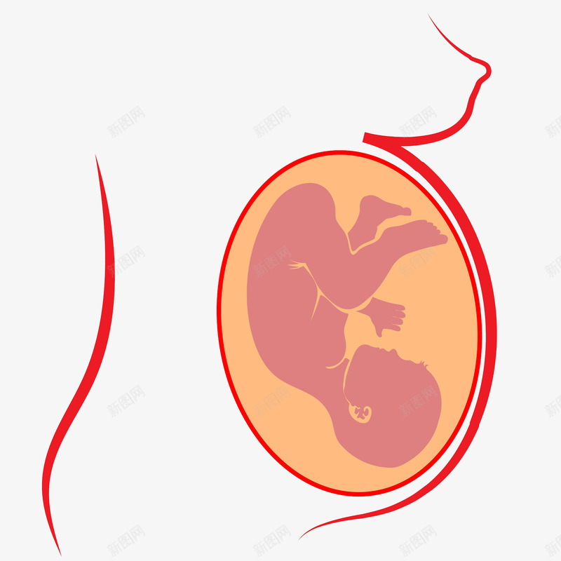 胚胎里的新生儿png免抠素材_88icon https://88icon.com 出生 婴儿 宝宝 小娃娃 新生儿 母婴 胎儿 胚胎 脐带 脐带血 诞生 降临