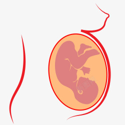 脐带血胚胎里的新生儿高清图片