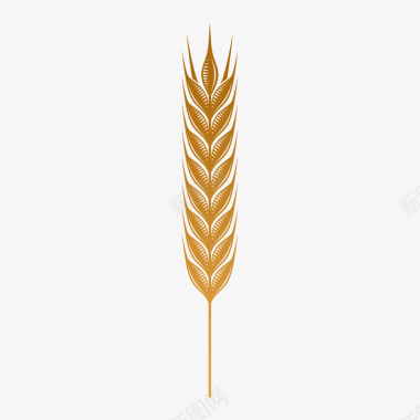 金麦麦穗图标图标