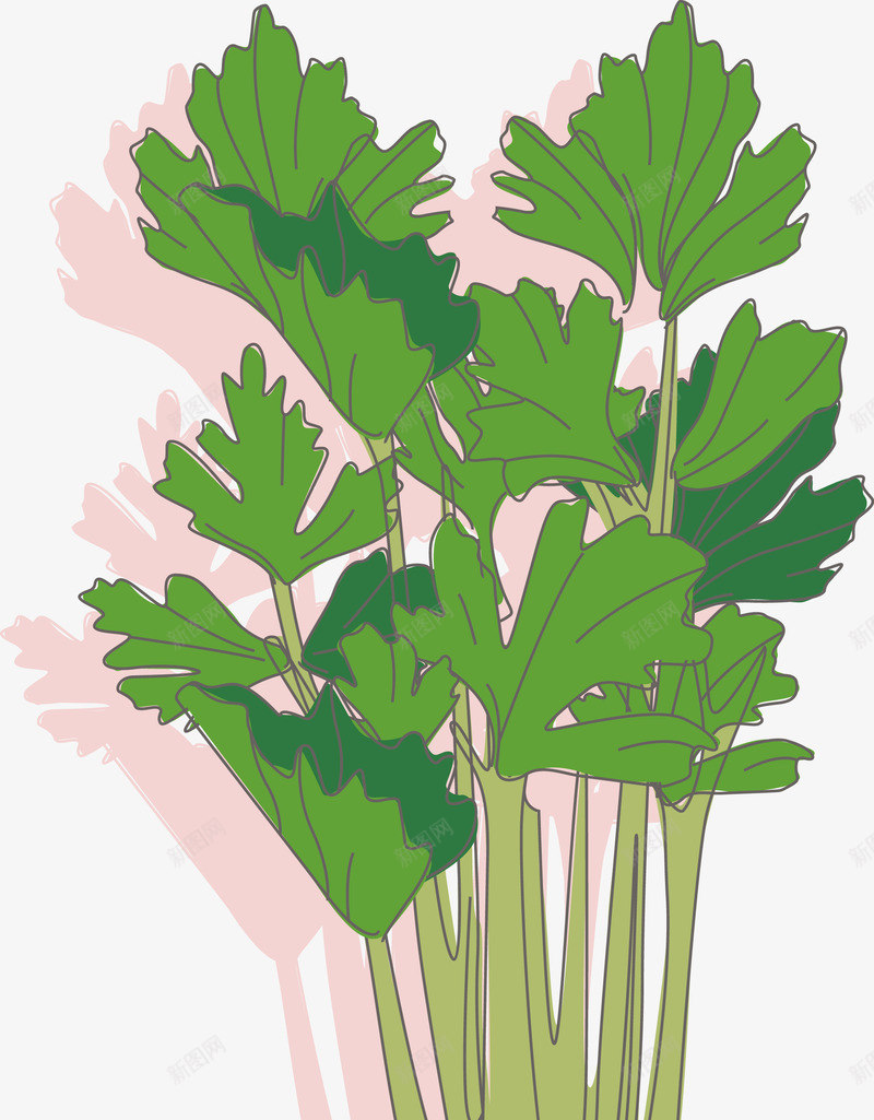 扁平绿色芹菜png免抠素材_88icon https://88icon.com 矢量芹菜免费下载 美食推荐 芹菜 蓝色蔬菜 蔬菜 青菜 食物