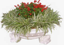 花圃花坛园艺素材