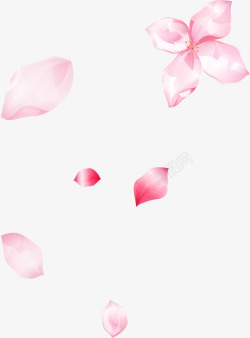 粉红底纹粉色花瓣漂浮高清图片