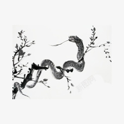 蛇年插画黑色水墨蛇盘旋在树枝上高清图片
