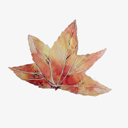 枫叶水彩画片素材