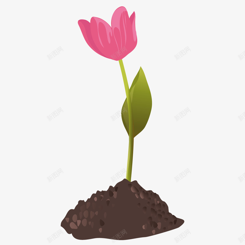一朵花png免抠素材_88icon https://88icon.com 土壤 栽培 植物 鲜花