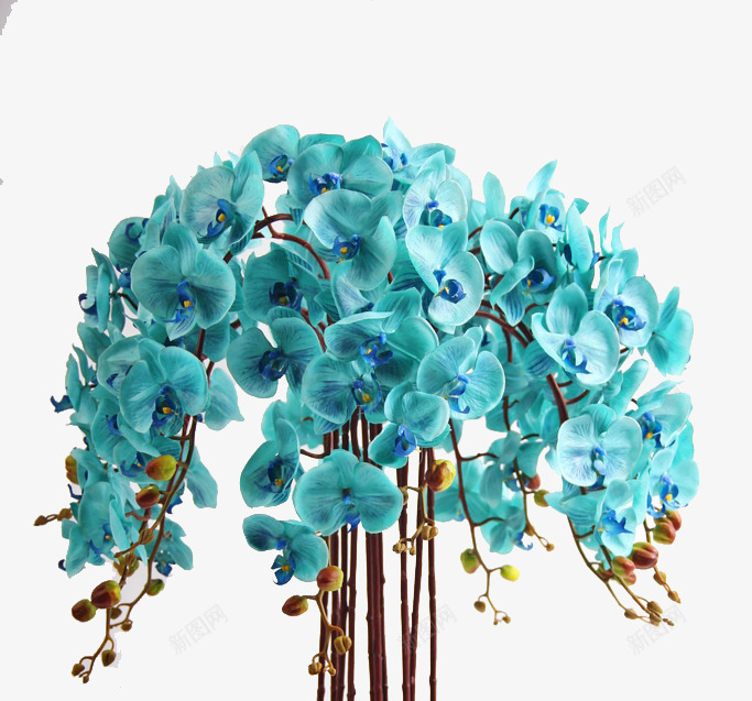 花png免抠素材_88icon https://88icon.com 唯美 家装花 摆件 摆饰 花 花草 装饰画 软装