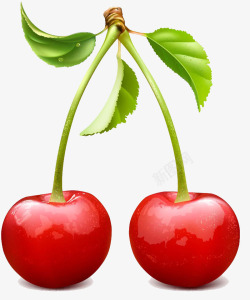 插画樱桃果实素材