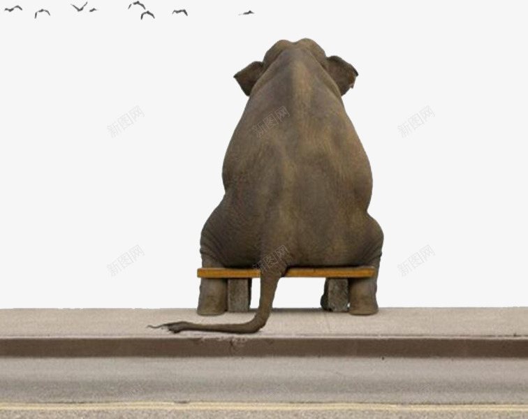 孤独的大象png免抠素材_88icon https://88icon.com 凄凉 坐着的大象 孤单 孤单寂寞 孤独寂寞 孤独的大象 寂寞 寂寞的大象 背影