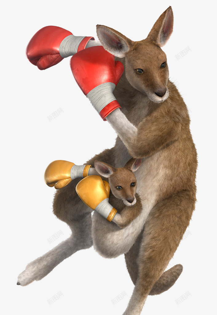 袋鼠png免抠素材_88icon https://88icon.com 哺乳动物 拳击 澳洲 食草动物