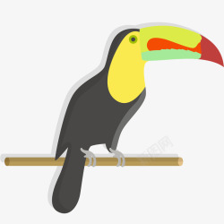 彩色热带鸟类矢量图素材
