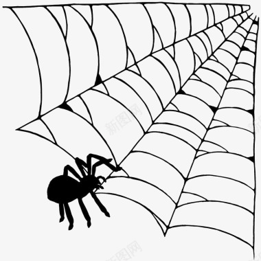 手绘黑色网状蜘蛛丝图标图标