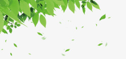 漂浮元素花瓣树叶专辑绿色素材