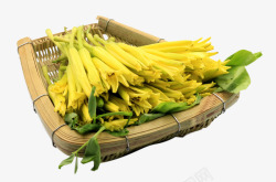 黄花菜卡通手绘黄色的花花菜高清图片