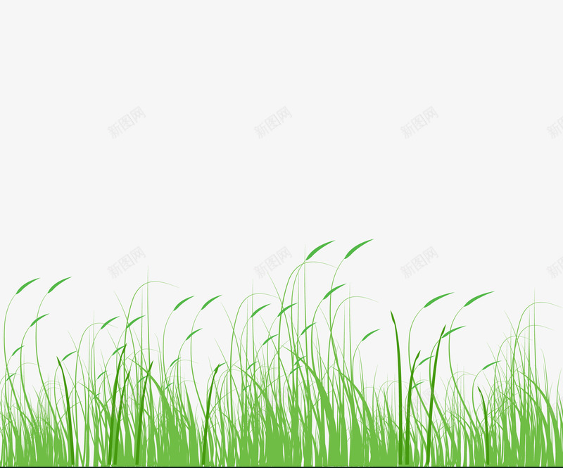 草狗尾巴草小草绿草草地png免抠素材_88icon https://88icon.com 小草 狗尾巴草 狗尾草 绿草 草 草地