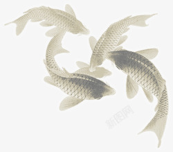 水墨鲤鱼艺术装饰素材