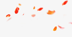飞舞的花瓣素材