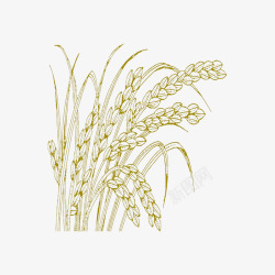 金色浮雕花纹小麦手绘线稿图高清图片