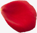 鲜艳红色玫瑰花瓣素材