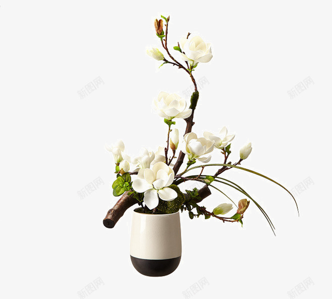 种着一朵鲜花的花瓶png免抠素材_88icon https://88icon.com 花瓶 鲜花