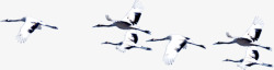 成群飞在空中小白鸽素材