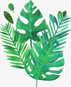手绘雪松树大叶植物装饰图案高清图片