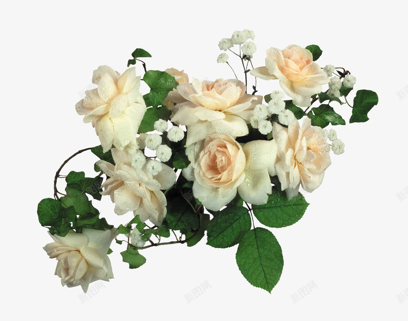 白色花朵png免抠素材_88icon https://88icon.com 叶子 玫瑰花 绿叶 花丛 花朵 花束 鲜花